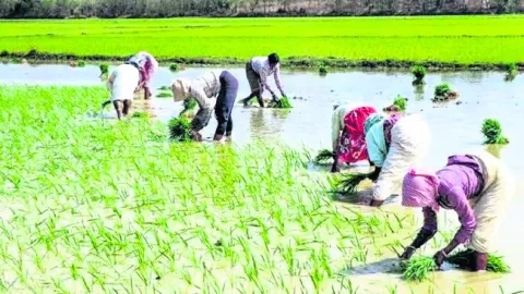 ధీమా ఇవ్వని బీమా 