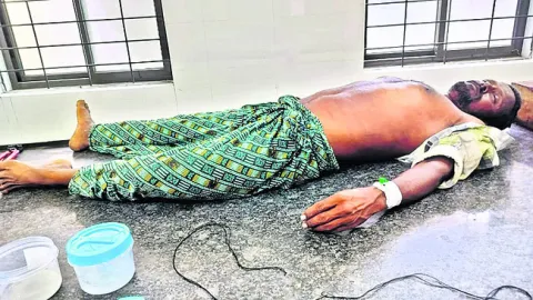 క్రిమ