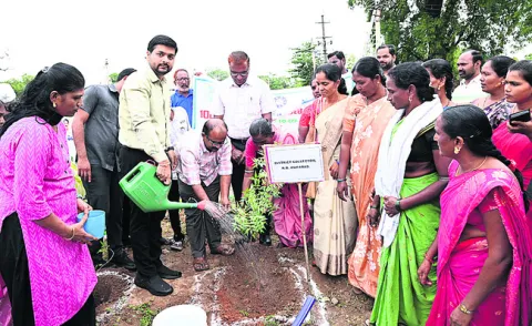 ప్రతిఒక్కరూ మొక్కలు నాటాలి