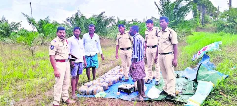 అధికా