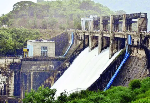 నిండుగా భద్ర జలాశయం 