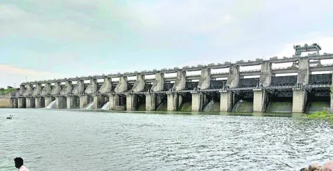సాగుక