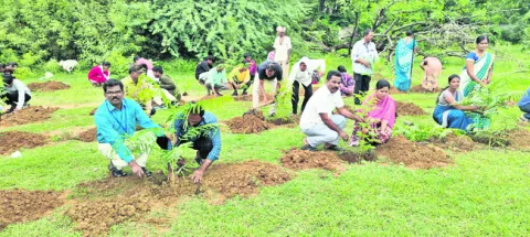 మొక్కలు నాటి సంరక్షించాలి