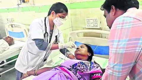 వనిపె