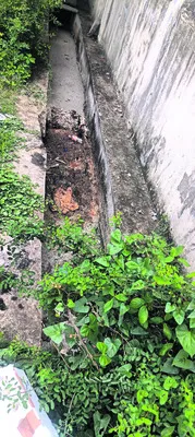డ్రెయ