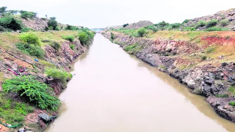 జలయజ్ఞంతో మారిన సాగు ముఖచిత్రం 
