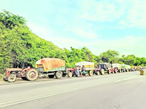 దోపిడ