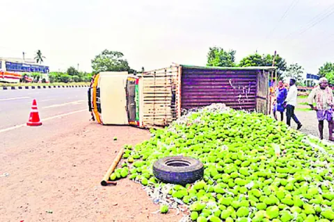 మామిడికాయల లోడు వాహనం బోల్తా 