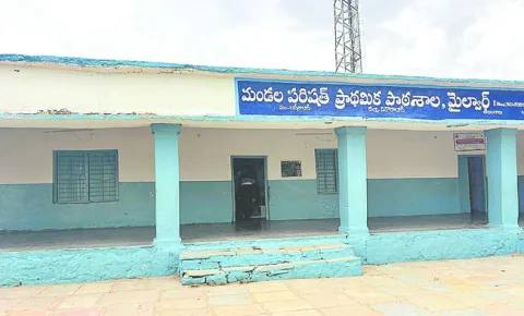 విద్య