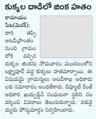 సింగూ