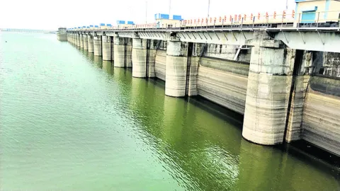 ‘ఎల్ల