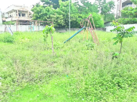 ఉద్యా