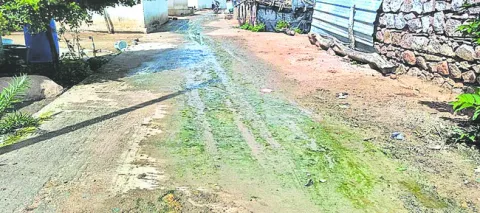 ప్రమా