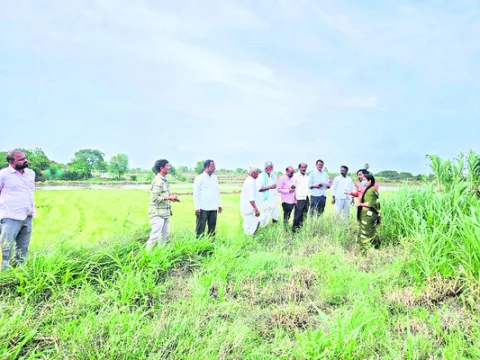 ఆగిరెడ్డి భూమిని సందర్శించిన తహసీల్దార్‌