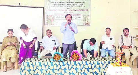 నూతన సేద్య పద్ధతులతో  కోకోలో అధిక దిగుబడి
