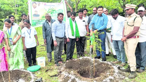 మొక్కలు నాటి సంరక్షించాలి