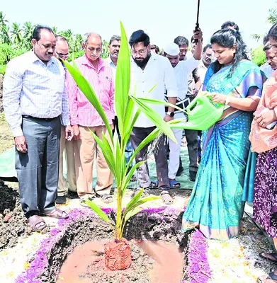 పండ్ల తోటల పథకంతో లబ్ధి 