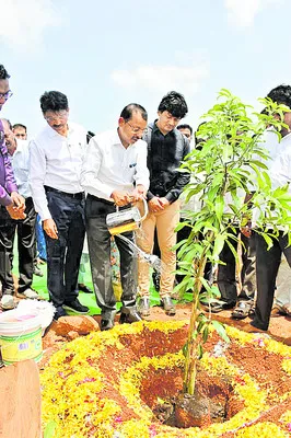 ఉద్యాన పంటల సాగు విస్తృతంగా చేపట్టాలి 