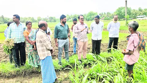 11న వ్యవసాయ యాంత్రీకరణ మేళా 