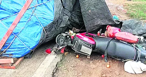 దారిక