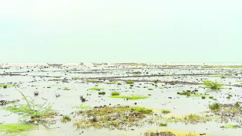 రక్కస