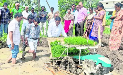 అన్నదాత సుఖీభవ అర్హతను పోర్టల్‌లో చూసుకోవాలి 