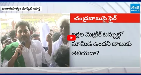 YS Jagan Slams CM Chandrababu Support Price For Mango 1