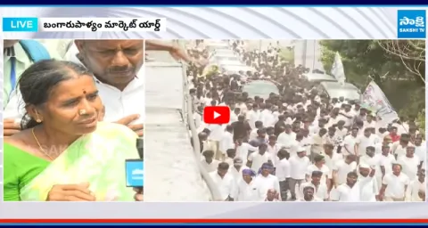 Are Chittoor Mango Farmers Being LEFT BEHIND by Chandrababu Govts New Rule 1