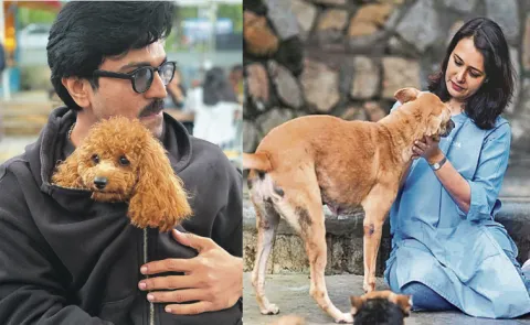 Celebrities beautiful pets : social breeds lifestyle