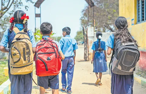 State ranks better in NYAS survey