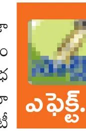 స్టాళ్ల కేటాయింపులో  పారదర్శకత  
