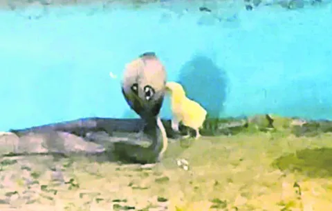 రైతుల