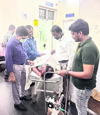 కుక్క