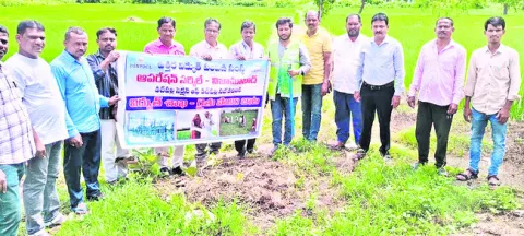 రైతులు ఫ్యూజులు మార్చొద్దు 
