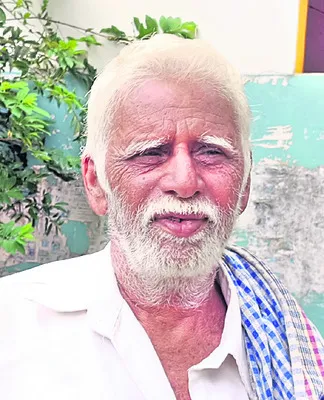 ధరలు 