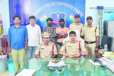 గంజాయి కేసులో ఇద్దరి అరెస్టు