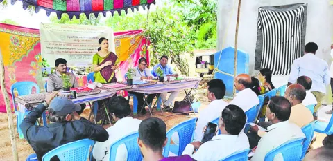 ఎగుమతి చేసే స్థాయికి ఎదగాలి 