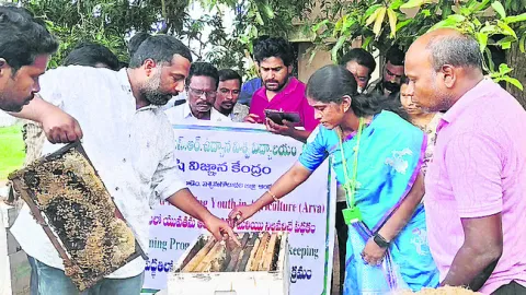 తేనెటీగల పెంపకంతో ఆర్థిక వృద్ధి 
