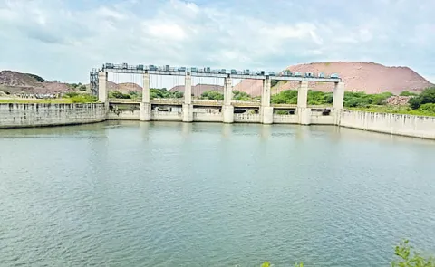 Union Environment Ministry reply to Congress MP On Banakacharla