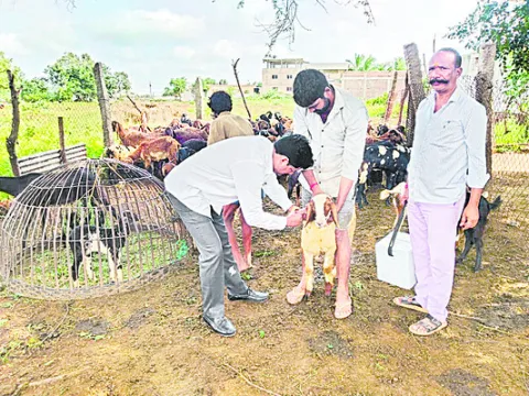 మందుల్లేవ్‌!