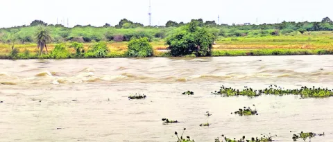 కుందూ.. కనువిందు! 