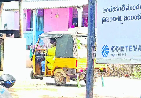 80 శాతం బియ్యం బ్లాక్‌ మార్కెట్‌కే.. 