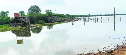 నిండుకుండలా పెద్ద చెరువు