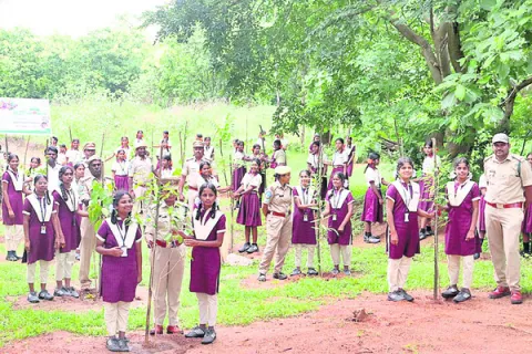 వృక్షాబంధన్‌ జరుపుకోవాలి 