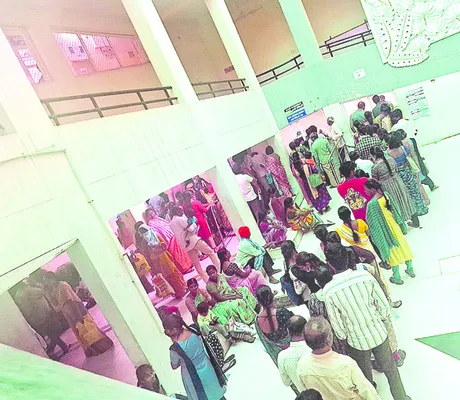 దోమలు కుట్టి.. జబ్బు పట్టి