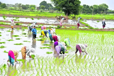 కూలీలకు ‘భరోసా’ ఏది? 