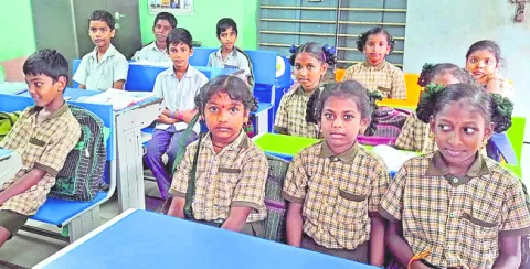 నులిమ