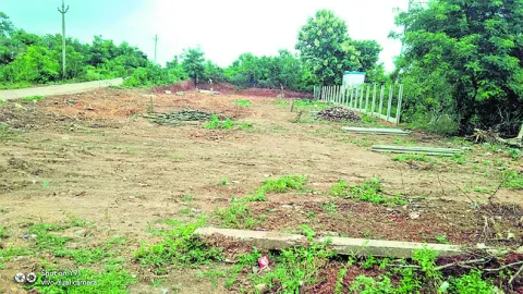 పట్టాదారులు.. ముగ్గురు 