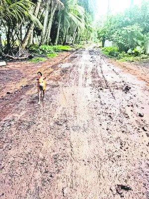 కొత్త బీటీ రోడ్డుకు తూట్లు