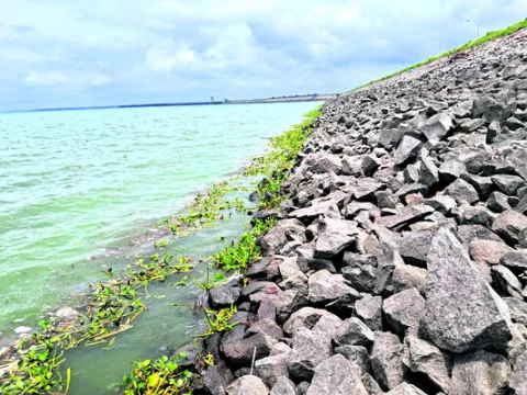 ఎస్సారెస్పీలోకి గుర్రపు డెక్క 
